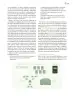 Miniatura página 146 de Modalidades de trabajo para la acción transformadora y el codiseño  Libro de Educación Preescolar Grado 1°, 2°, 3°  Ciclo Escolar 2025 - 2026