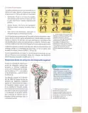 Miniatura página 206 de Estudios Sociales 10° · Egb 10 Estudios Sociales 2025 · 2025
