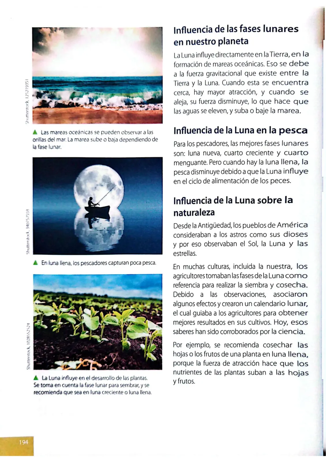 Página 191 de Ciencias Naturales · 4 EGB · 2025