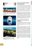 Miniatura página 191 de Ciencias Naturales 4° · Egb 4 Ciencias Naturales 2025 · 2025