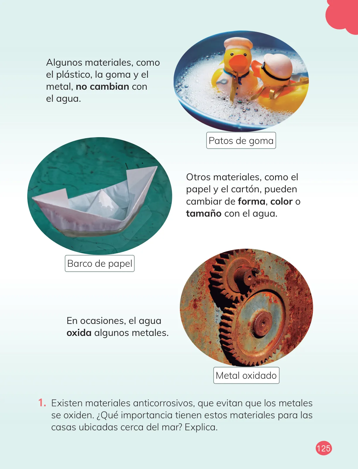 Página 127 de Ciencias Naturales – Primero Básico | Texto del Estudiante (MINEDUC) – Descargar PDF · 2024