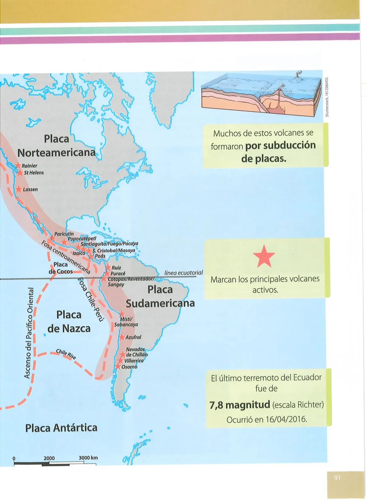 Miniatura página 88 de Ciencias Naturales · 10 EGB · 2024