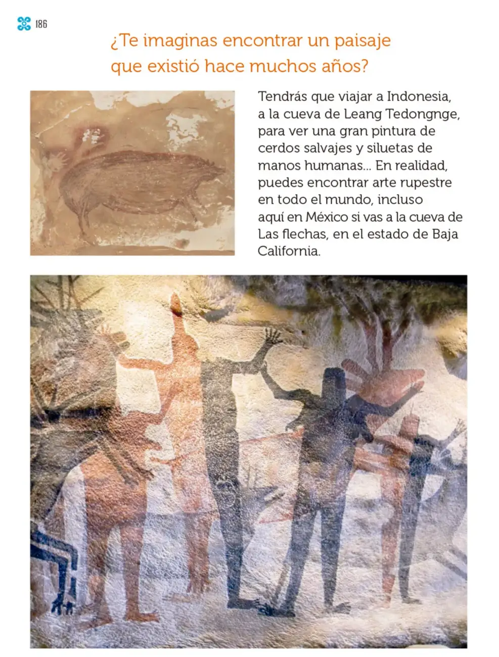 Página 187