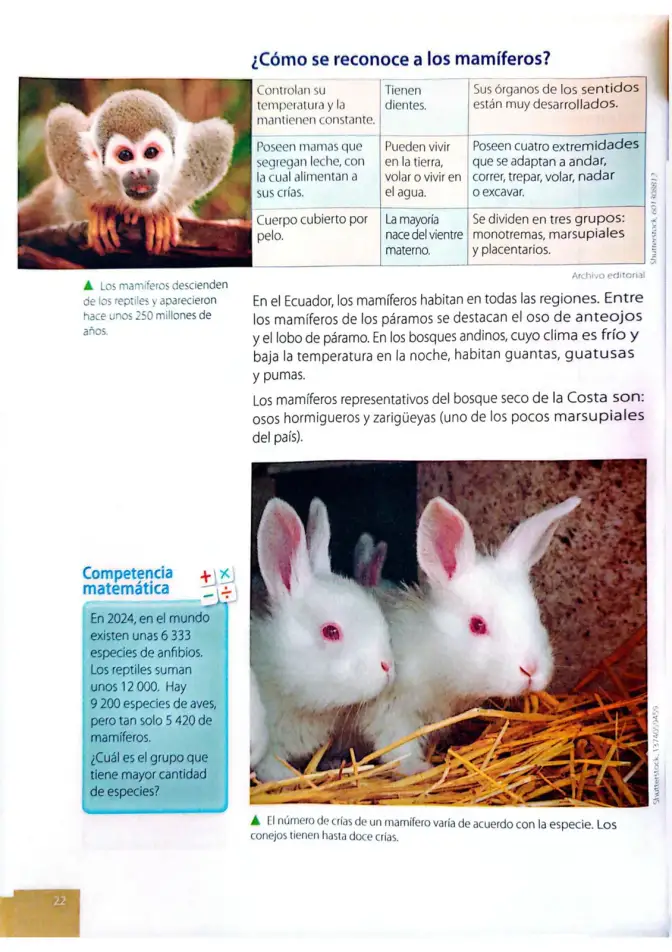 Página 19 de Ciencias Naturales 4° · Egb 4 Ciencias Naturales 2025 · 2025