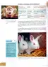 Miniatura página 19 de Ciencias Naturales 4° · Egb 4 Ciencias Naturales 2025 · 2025