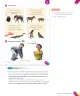 Miniatura página 121 de Inglés – Segundo Básico | Texto del Estudiante MINEDUC – Descargar PDF · 2024