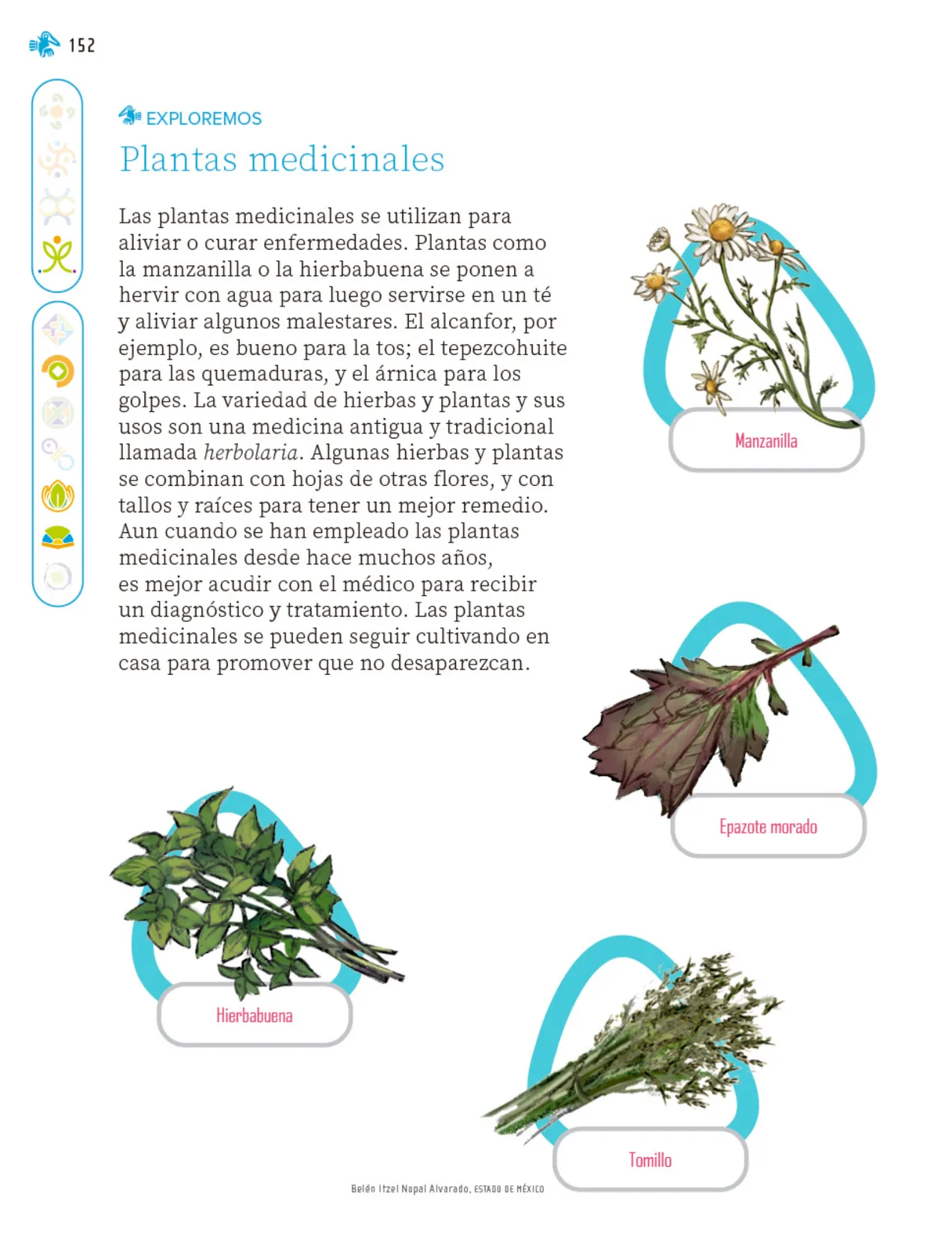 Miniatura página 153 de Nuestros saberes: Libro para alumnos, maestros y familia.   Libro de Educación Primaria Grado 1°  Ciclo Escolar 2025 - 2026