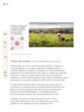 Miniatura página 233 de Múltiples lenguajes.   Libro de Educación Primaria Grado 3°  Ciclo Escolar 2025 - 2026