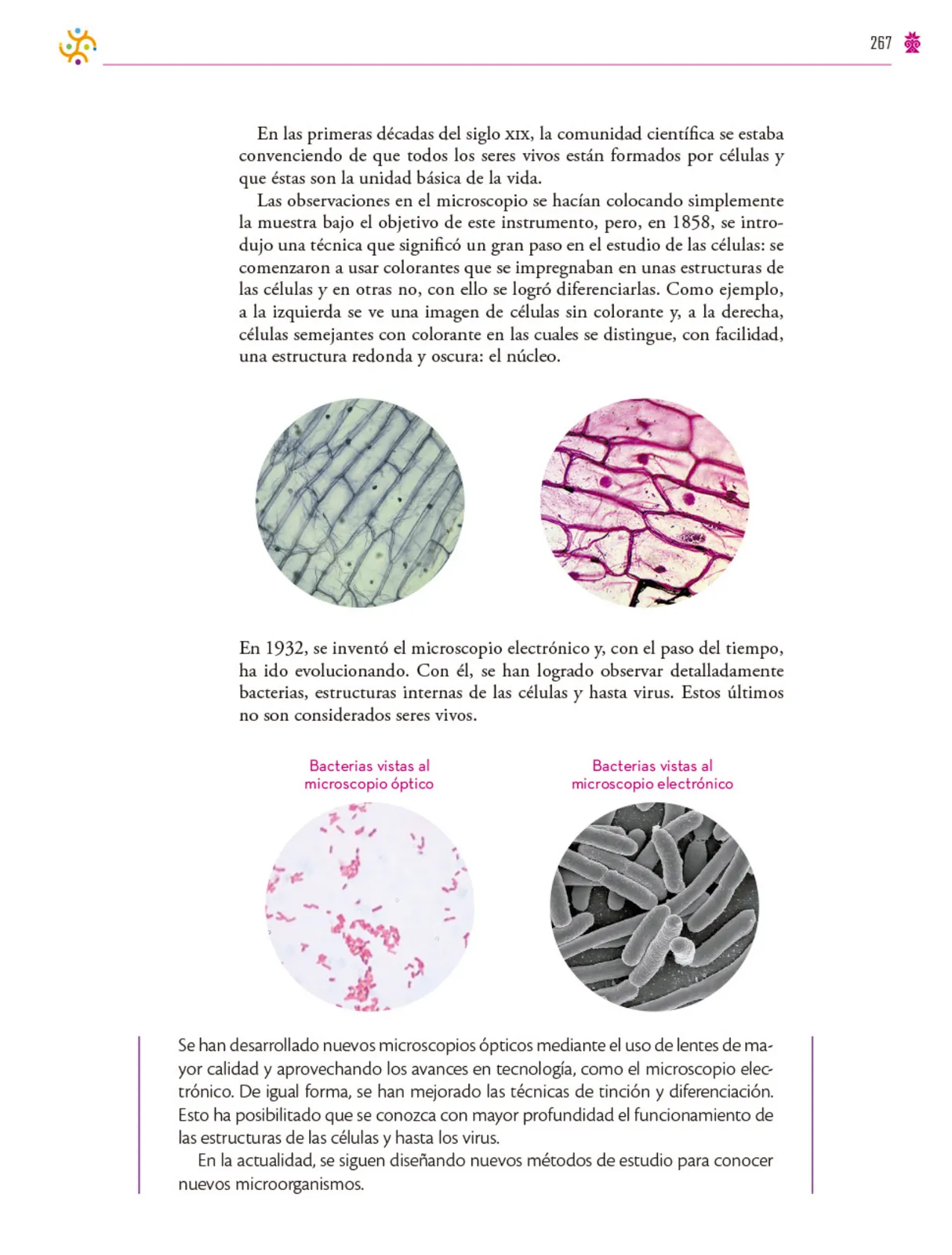 Miniatura página 268 de Colección Ximhai. Saberes y pensamiento científico.   Libro de Educación Secundaria Grado 1°  Ciclo Escolar 2025 - 2026