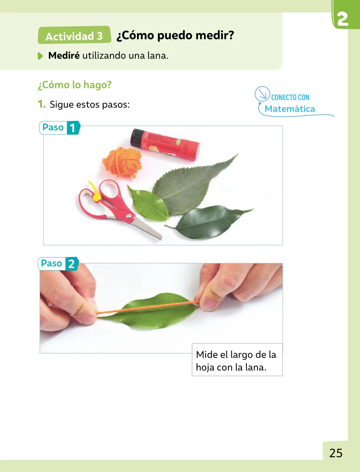 Página 26 de Ciencias Naturales – Primero Básico | Texto del Estudiante (MINEDUC) – Descargar PDF · 2024