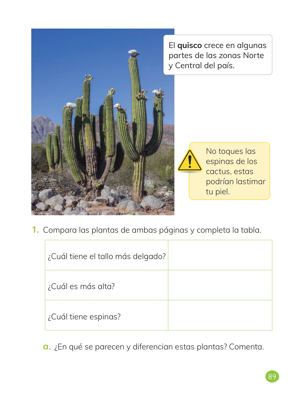 Miniatura página 91 de Ciencias Naturales – Primero Básico | Texto del Estudiante (MINEDUC) – Descargar PDF · 2024
