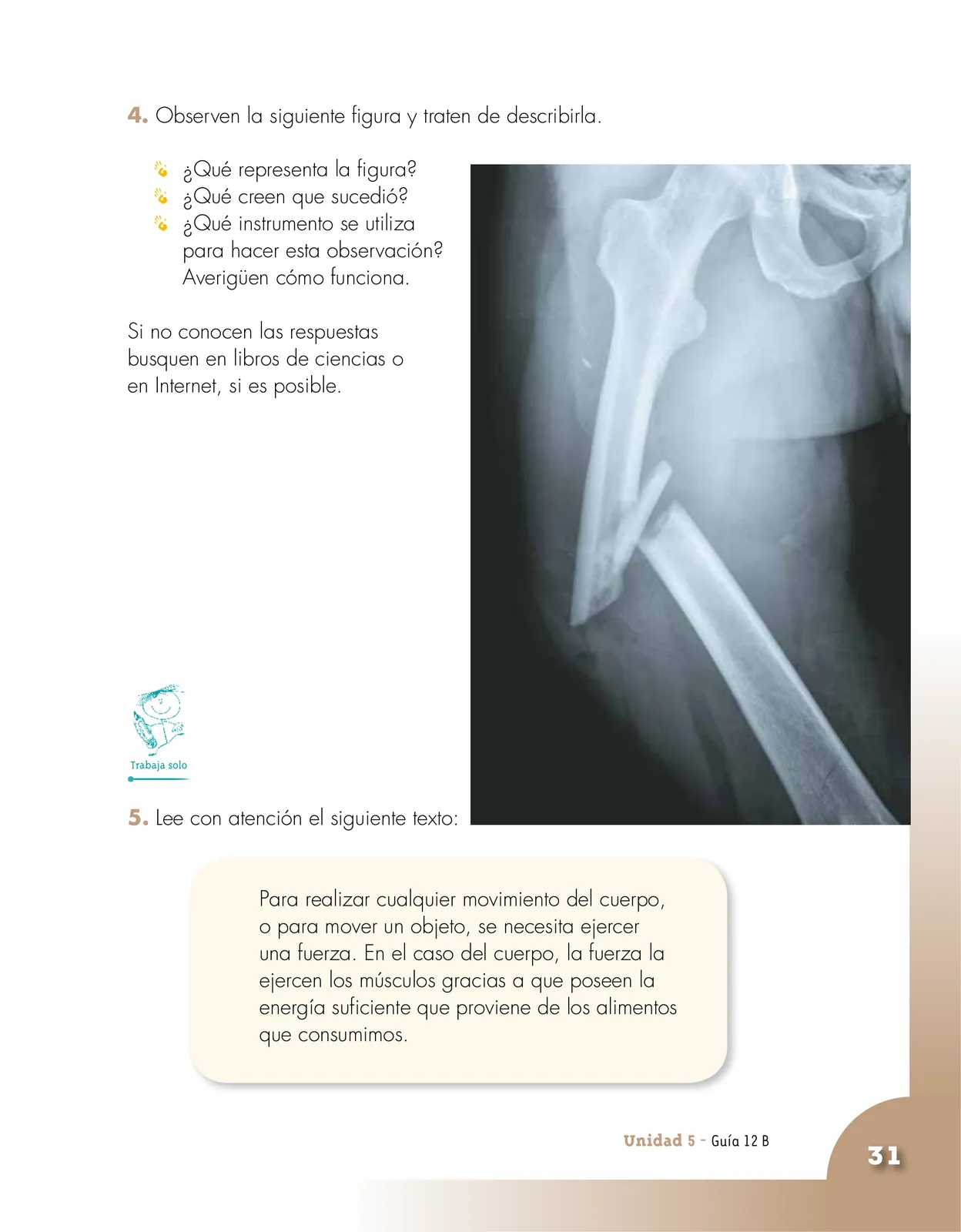Página 31 de Ciencias Naturales 3° · Cartilla 02