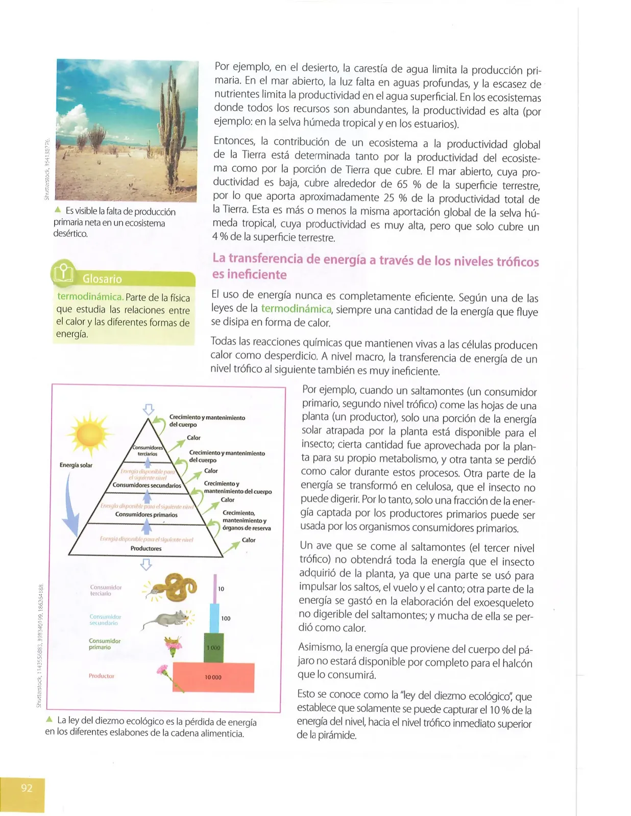 Página 91 de Ciencias Naturales 8° · Egb 8 Ciencias Naturales 2025 · 2025