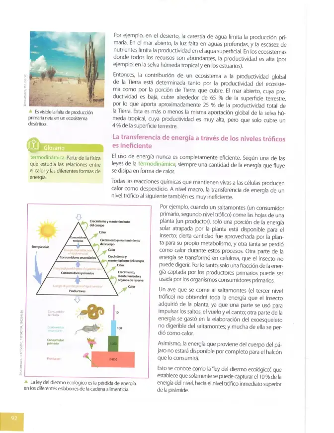 Página 91 de Ciencias Naturales 8° · Egb 8 Ciencias Naturales 2025 · 2025