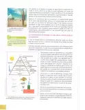 Miniatura página 91 de Ciencias Naturales 8° · Egb 8 Ciencias Naturales 2025 · 2025