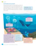 Miniatura página 74 de Libro de Ciencias Naturales – Quinto Básico | Texto del Estudiante MINEDUC – Descargar PDF · 2024