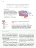Miniatura página 159 de Nuestros saberes: Libro para alumnos, maestros y familia.   Libro de Educación Primaria Grado 5°  Ciclo Escolar 2025 - 2026