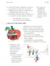 Miniatura página 222 de Proyectos Escolares.   Libro de Educación Primaria Grado 1°  Ciclo Escolar 2025 - 2026