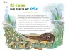Miniatura página 85 de Múltiples lenguajes.   Libro de Educación Preescolar Grado 2°  Ciclo Escolar 2025 - 2026