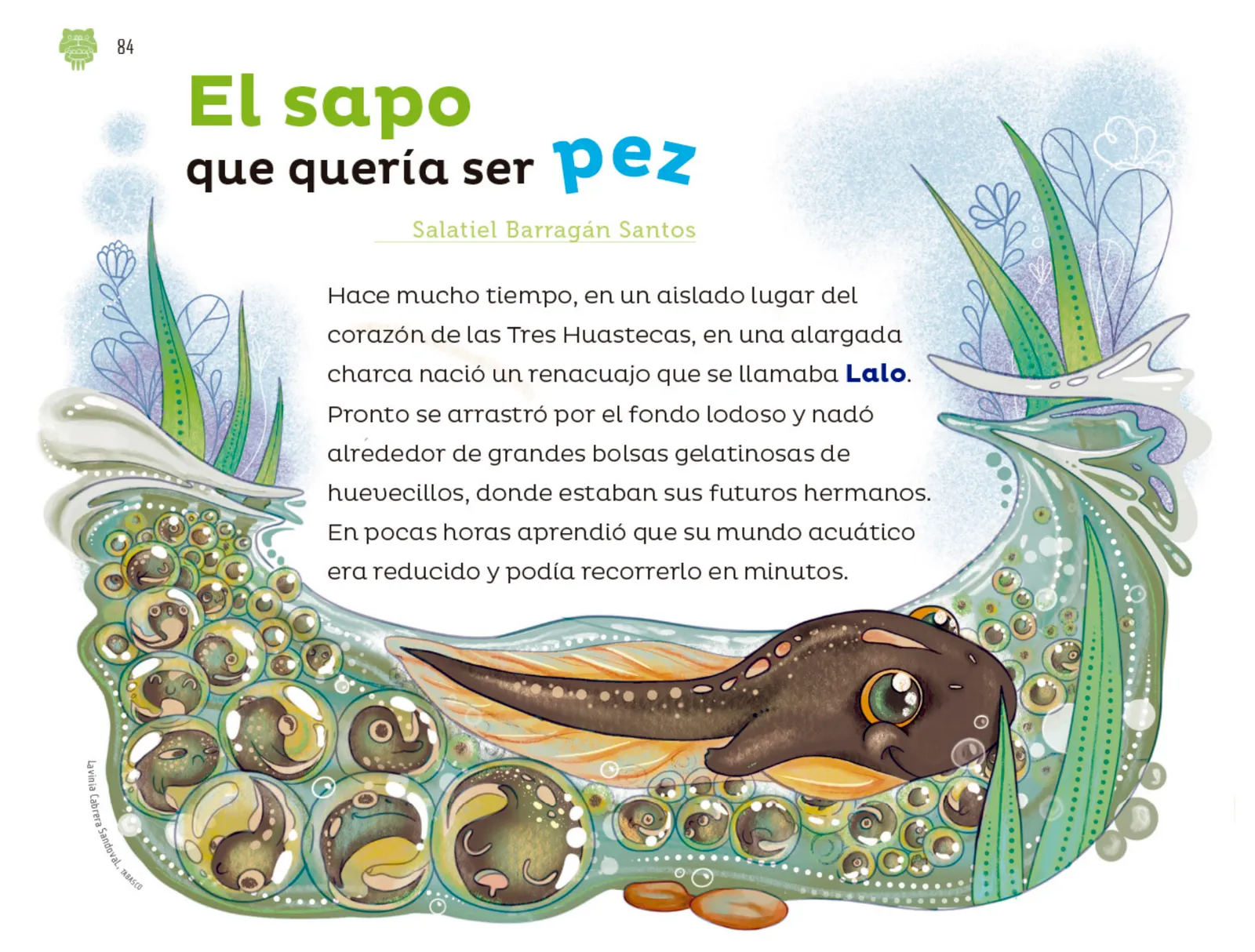 Miniatura página 85 de Múltiples lenguajes.   Libro de Educación Preescolar Grado 2°  Ciclo Escolar 2025 - 2026