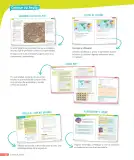 Miniatura página 29 de Historia, Geografía y Ciencias Sociales – Tercero Básico | Texto del Estudiante MINEDUC – Descargar PDF · 2024