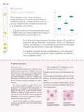 Miniatura página 143 de Nuestros saberes: Libro para alumnos, maestros y familia.   Libro de Educación Primaria Grado 3°  Ciclo Escolar 2025 - 2026