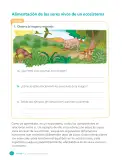 Miniatura página 172 de Ciencias Naturales – Cuarto Básico | Texto del Estudiante MINEDUC – Descargar PDF · 2024