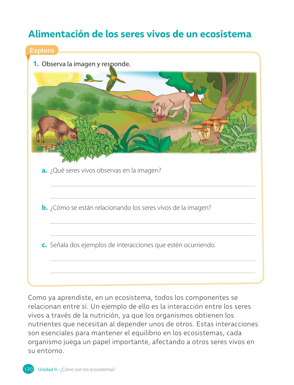 Miniatura página 172 de Ciencias Naturales – Cuarto Básico | Texto del Estudiante MINEDUC – Descargar PDF · 2024