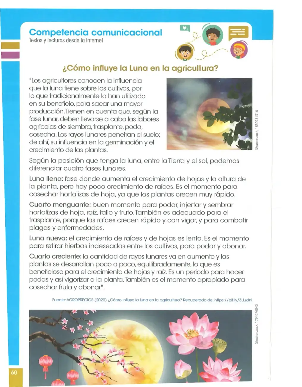 Página 61