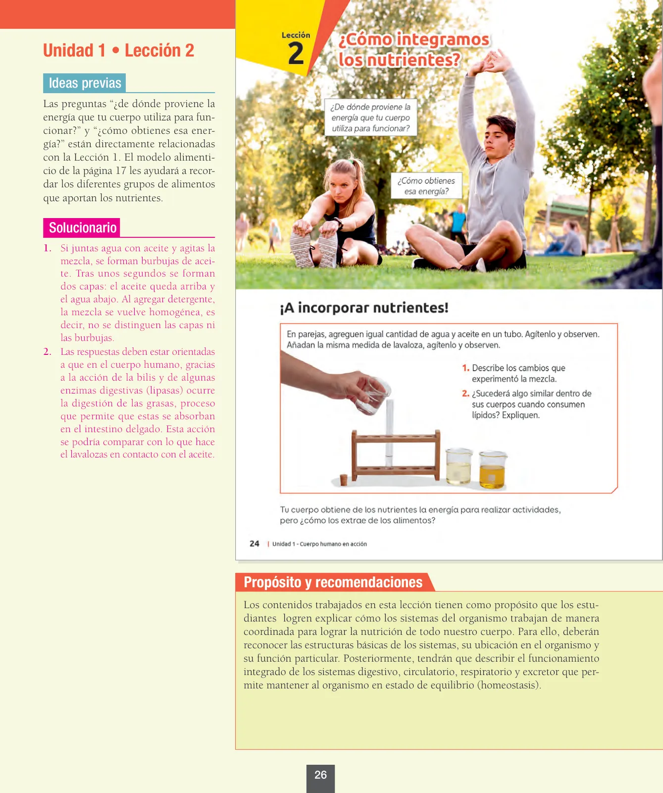 Miniatura página 27 de Ciencias Naturales – Octavo Básico | Texto del Estudiante MINEDUC – Descargar PDF · 2024