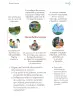 Miniatura página 256 de Proyectos Escolares.   Libro de Educación Primaria Grado 1°  Ciclo Escolar 2025 - 2026