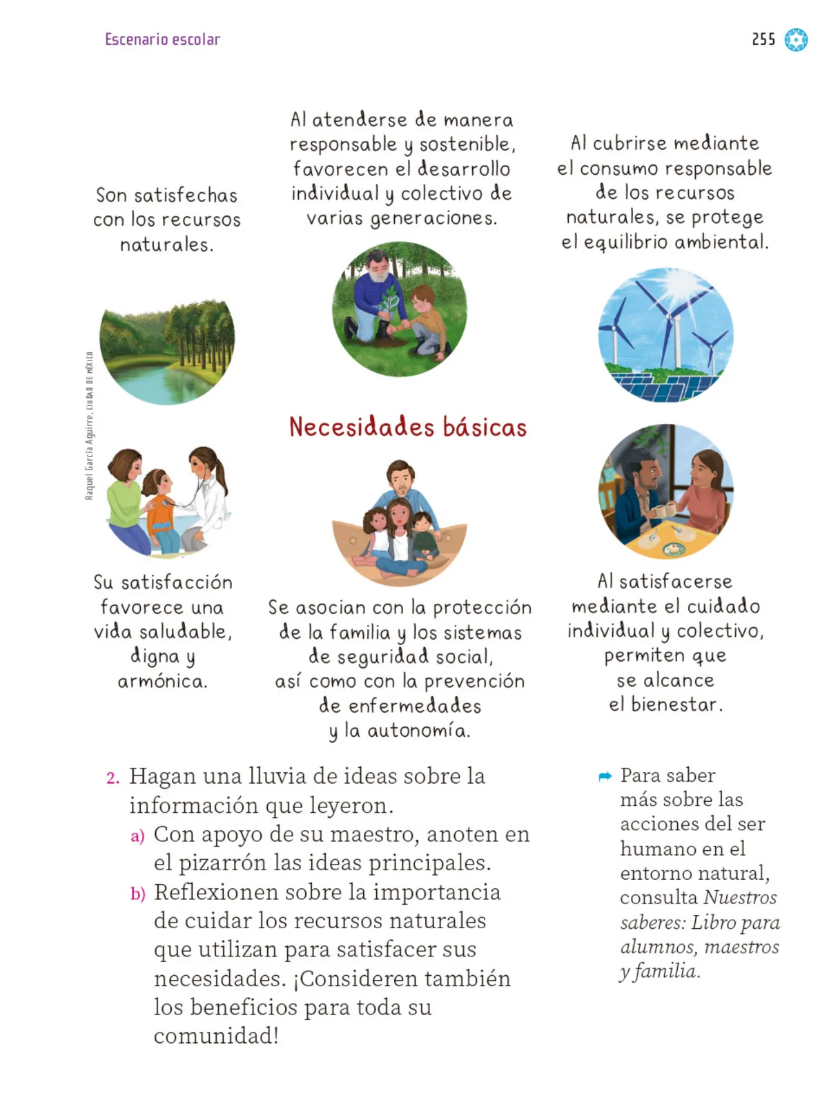 Miniatura página 256 de Proyectos Escolares.   Libro de Educación Primaria Grado 1°  Ciclo Escolar 2025 - 2026