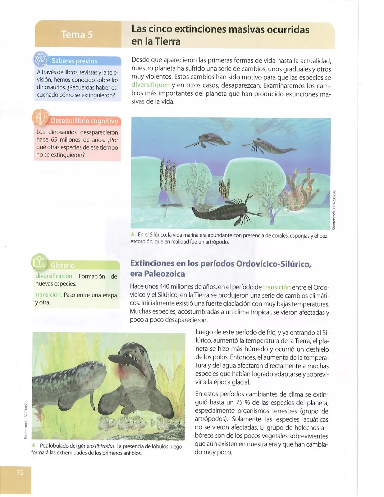 Miniatura página 69 de Ciencias Naturales · 10 EGB · 2024