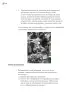 Miniatura página 183 de Proyectos Comunitarios.   Libro de Educación Primaria Grado 4°  Ciclo Escolar 2025 - 2026