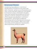 Miniatura página 106 de Willakuykuna maytu - Chanka Literatura 2 - 2° Secundaria - Quechua chanka · 2023