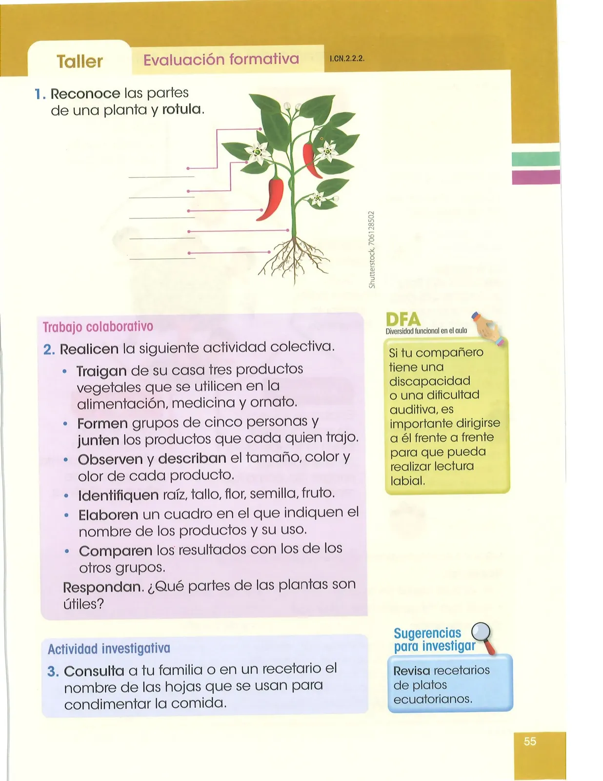 Página 56 de Ciencias Naturales · 2 EGB · 2025