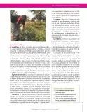 Miniatura página 65 de Ciencias Sociales 8° · Secundaria Activa