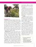 Miniatura página 65 de Ciencias Sociales 8° · Secundaria Activa