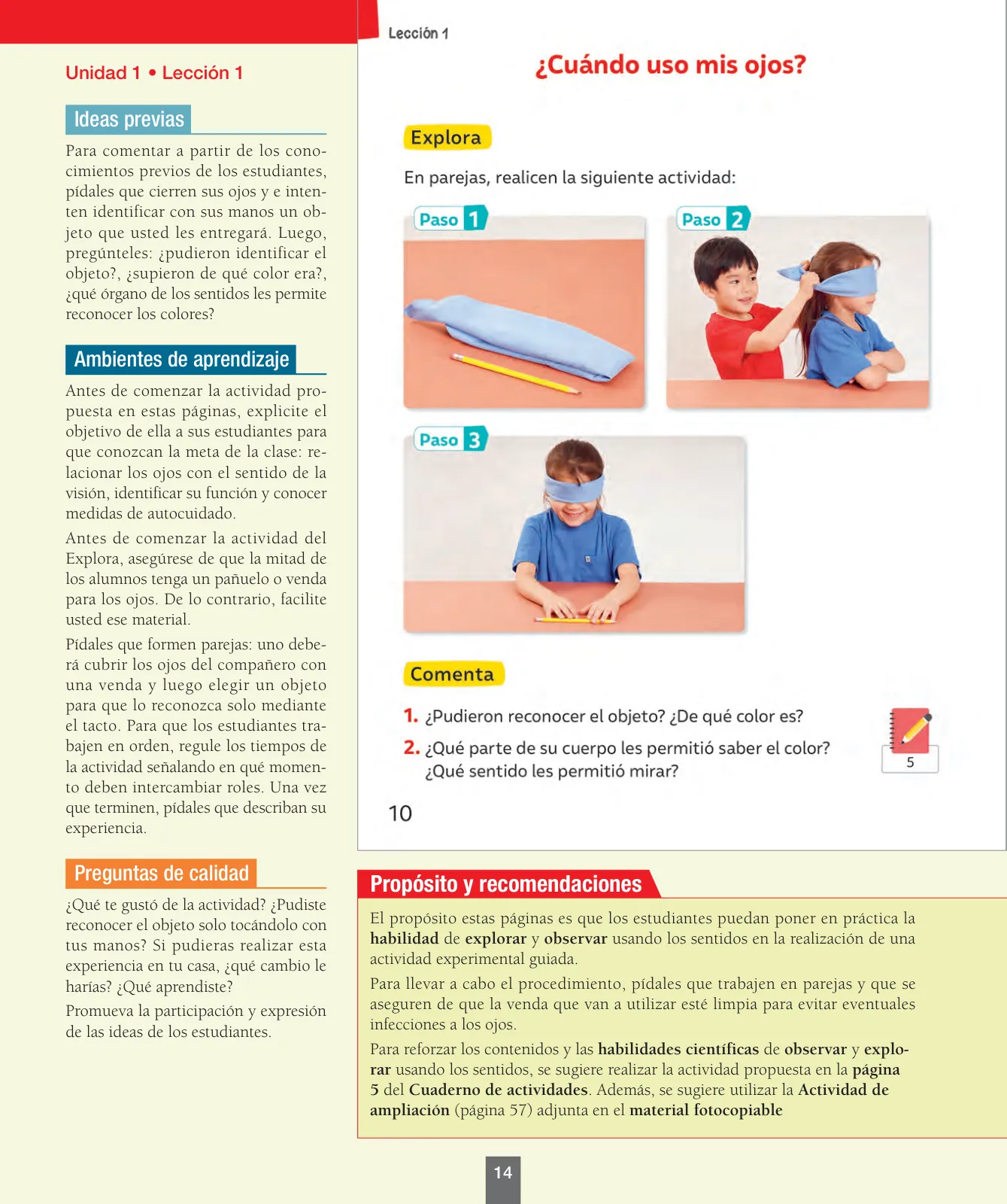 Página 15 de Ciencias Naturales – Primero Básico | Texto del Estudiante (MINEDUC) – Descargar PDF · 2024