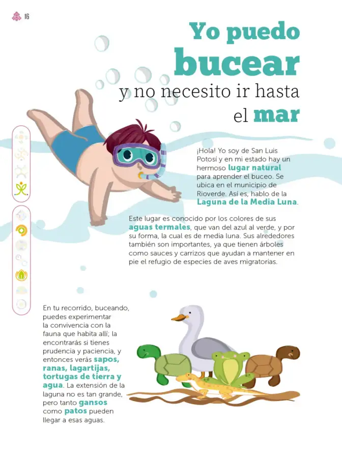Página 17 de Múltiples lenguajes. Libro de Educación Primaria Grado 3° Ciclo Escolar 2025 - 2026