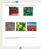 Miniatura página 157 de Inglés – Octavo Básico | Student’s Book MINEDUC – Descargar PDF · 2024
