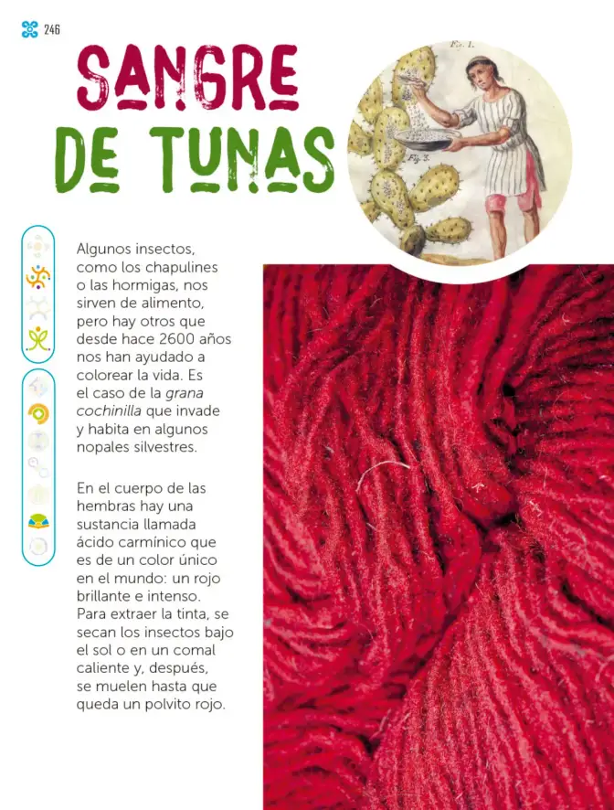 Página 247 de Múltiples lenguajes. Libro de Educación Primaria Grado 2° Ciclo Escolar 2025 - 2026