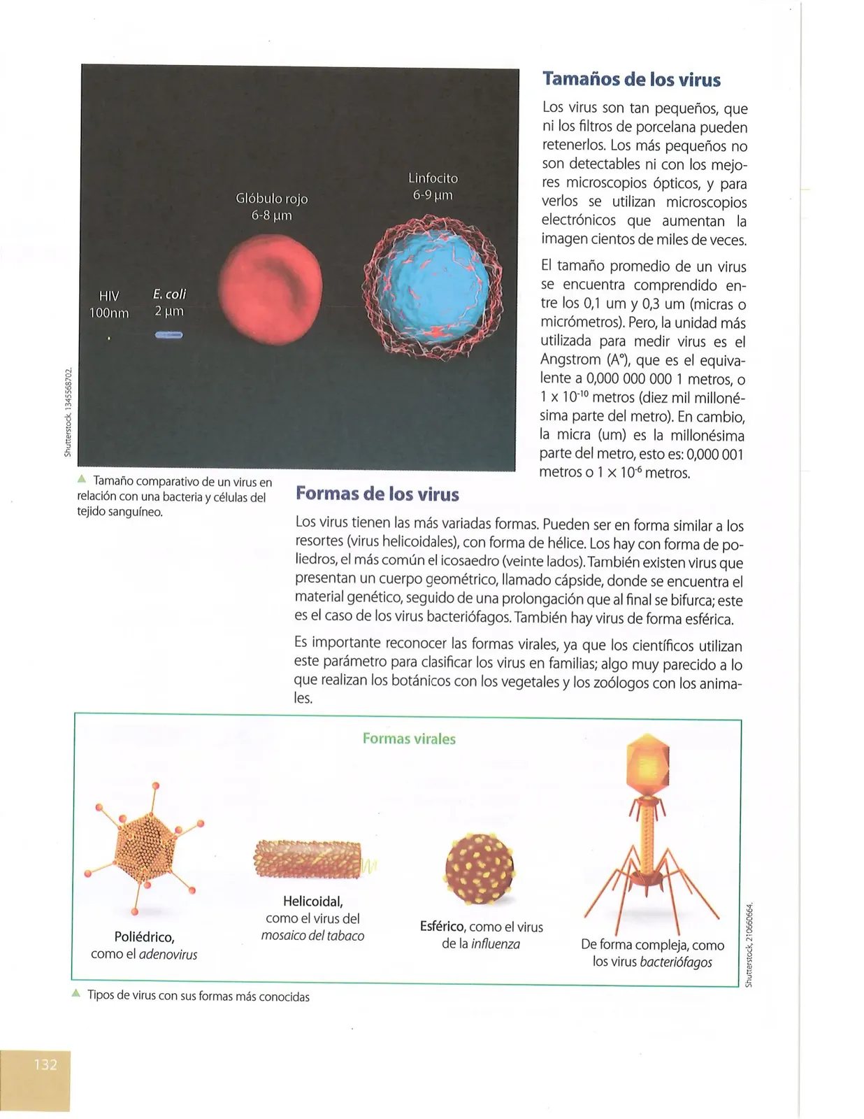 Página 129 de Ciencias Naturales · 10 EGB · 2024