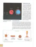 Miniatura página 129 de Ciencias Naturales 10° · 2025