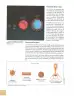 Miniatura página 129 de Ciencias Naturales 10° · 2025