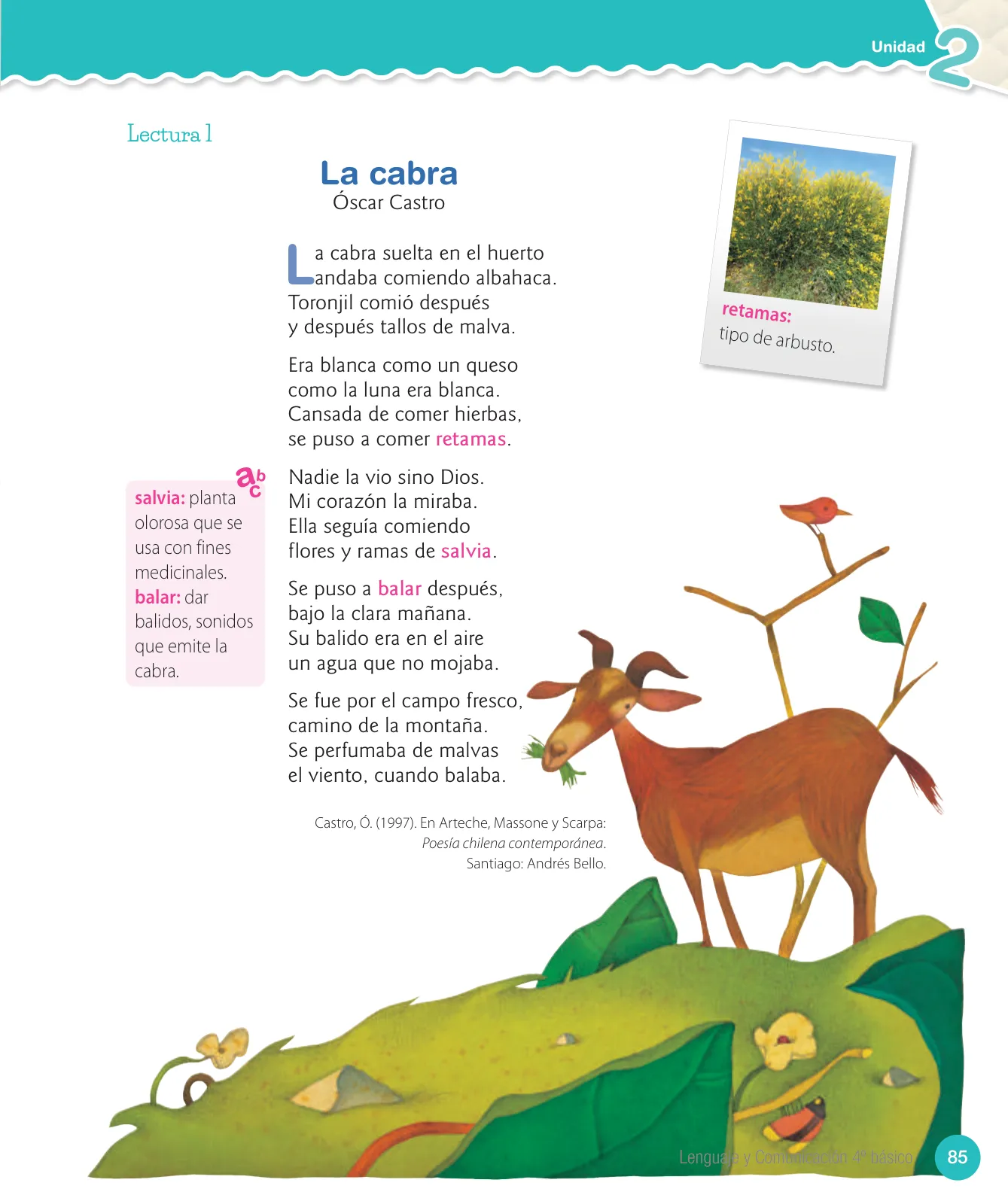Página 199 de Lenguaje y Comunicación – Cuarto Básico | Texto del Estudiante MINEDUC – Descargar PDF · 2024