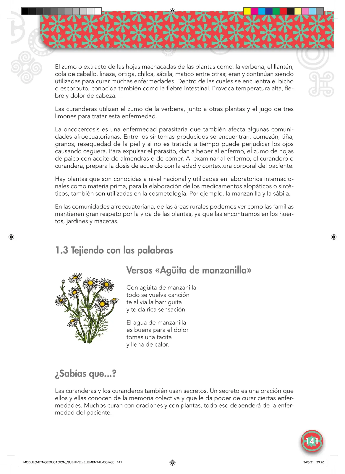 Página 141 de Etnoeducacion · Egb Elemental Etnoeducacion 2024 · 2024