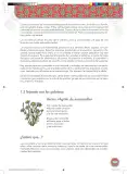 Miniatura página 141 de Etnoeducacion · Egb Elemental Etnoeducacion 2024 · 2024