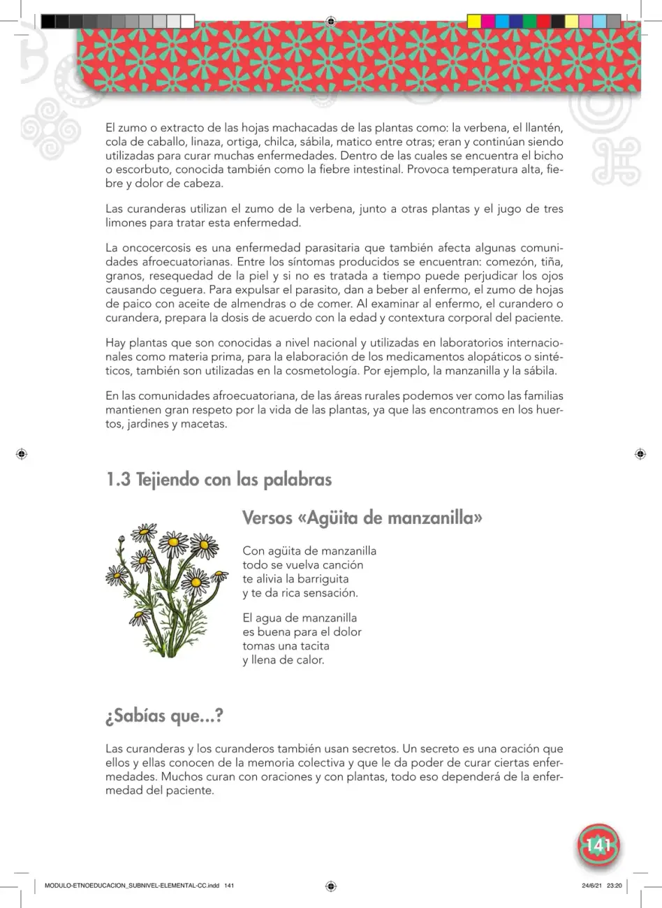 Página 141