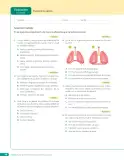 Miniatura página 124 de Libro de Ciencias Naturales – Quinto Básico | Texto del Estudiante MINEDUC – Descargar PDF · 2024